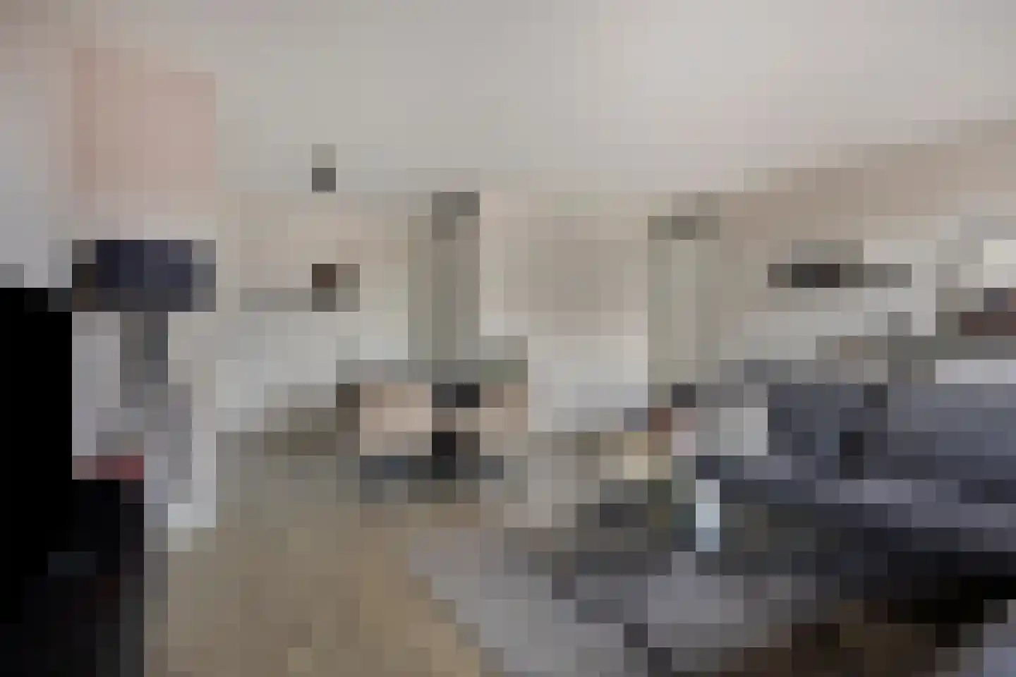 Jeroen Boschlaan 2 12 Eindhoven thumbnail 17