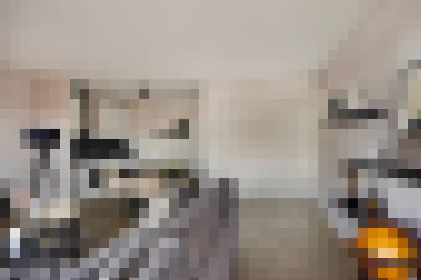 Jeroen Boschlaan 2 12 Eindhoven thumbnail 18