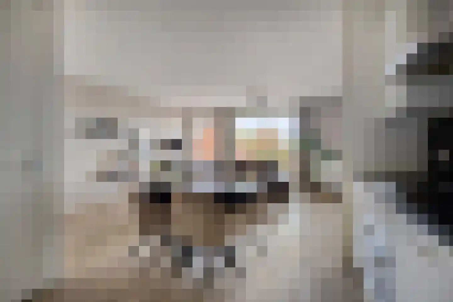 Jeroen Boschlaan 2 12 Eindhoven thumbnail 19