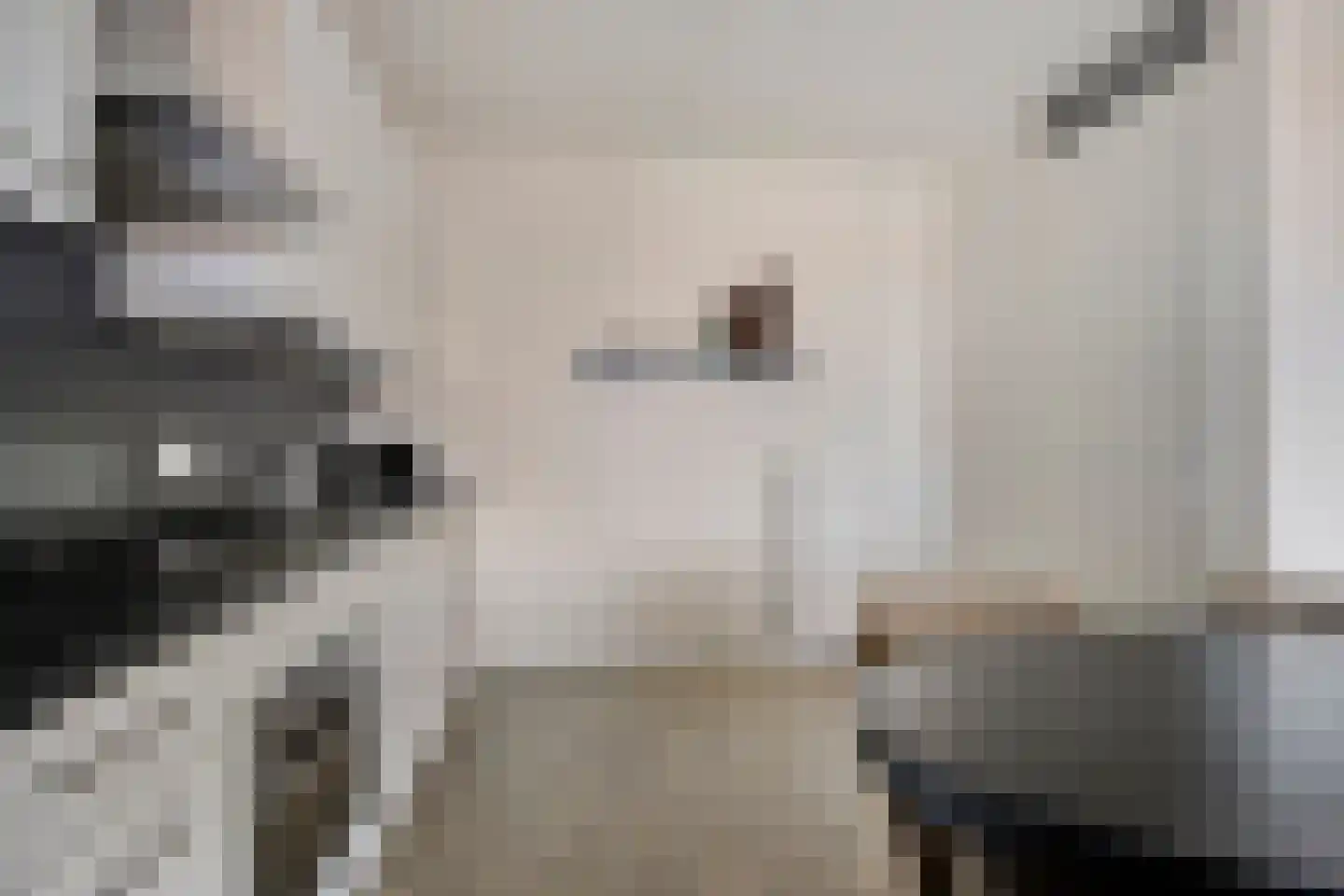 Jeroen Boschlaan 2 12 Eindhoven thumbnail 21