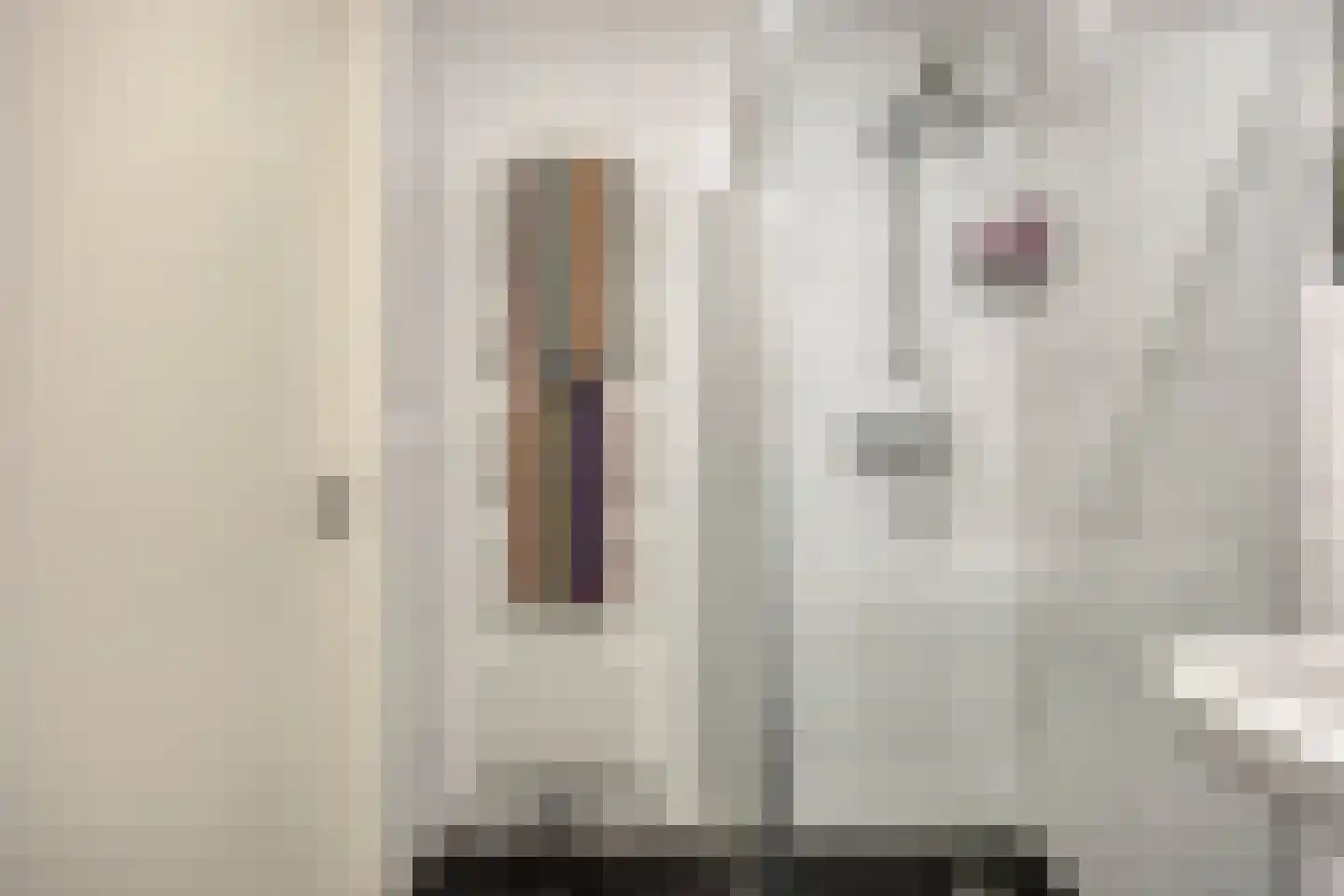 Jeroen Boschlaan 2 12 Eindhoven thumbnail 26