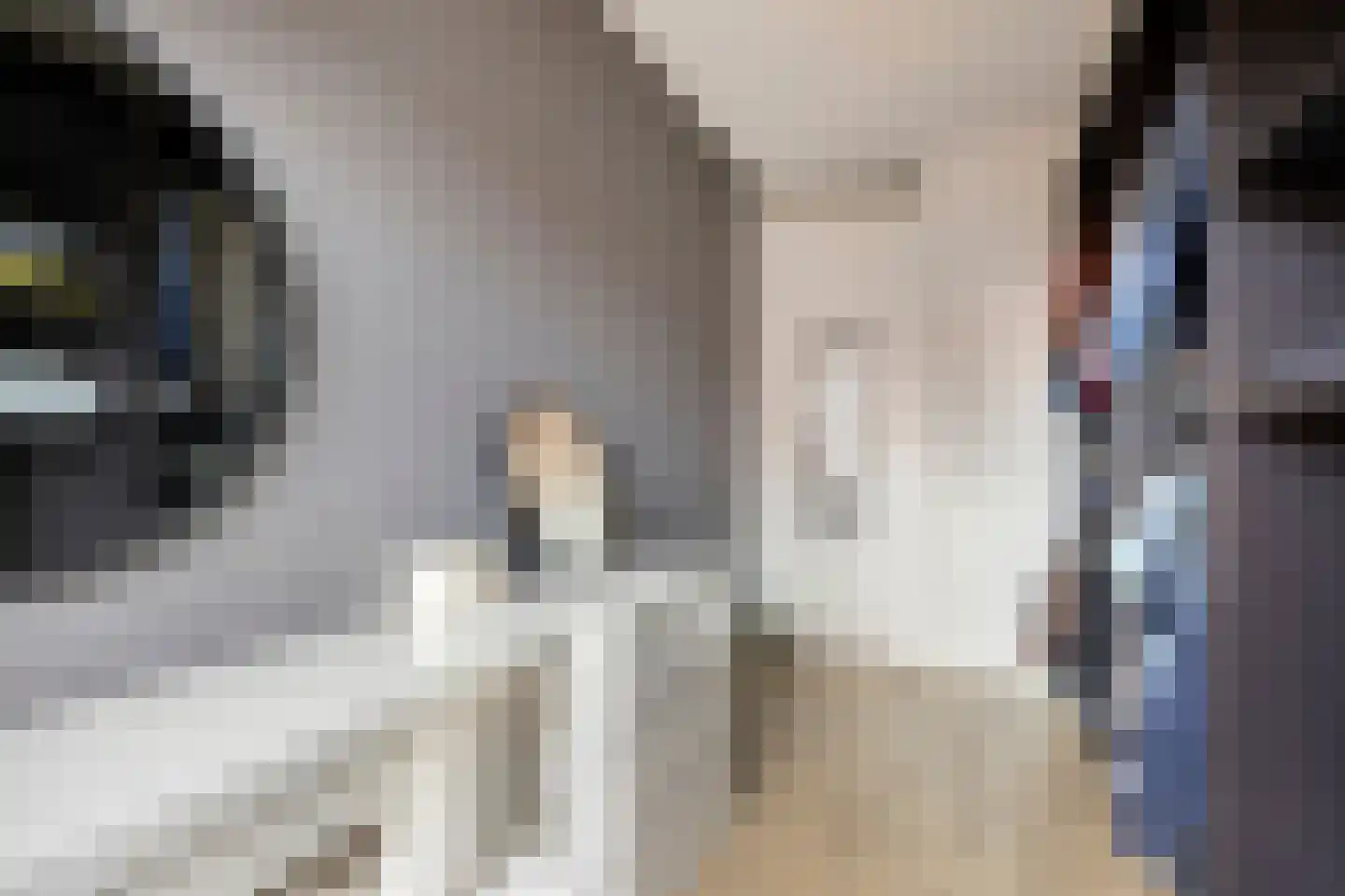 Jeroen Boschlaan 2 12 Eindhoven thumbnail 28