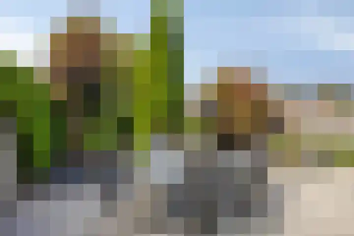 Jeroen Boschlaan 20 Lopik thumbnail 29