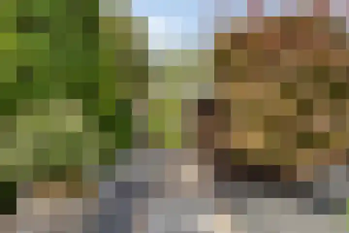 Jeroen Boschlaan 20 Lopik thumbnail 30