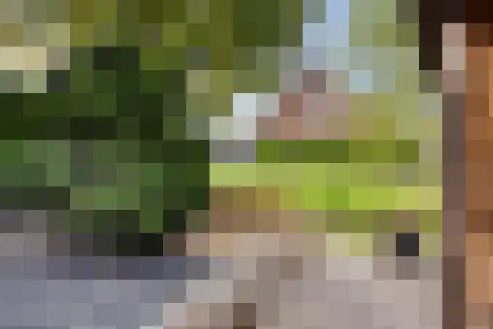 Jeroen Boschlaan 20 Lopik thumbnail 31