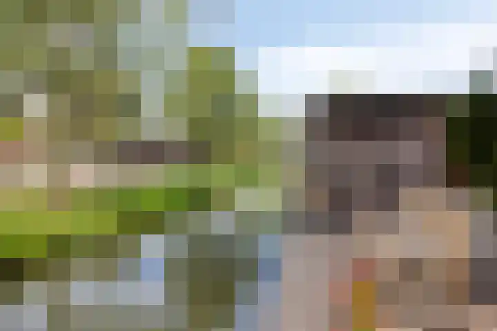 Jeroen Boschlaan 20 Lopik thumbnail 32