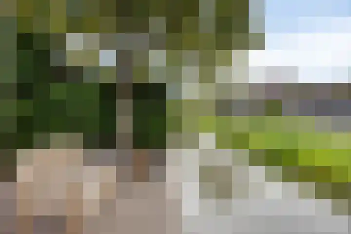 Jeroen Boschlaan 20 Lopik thumbnail 33