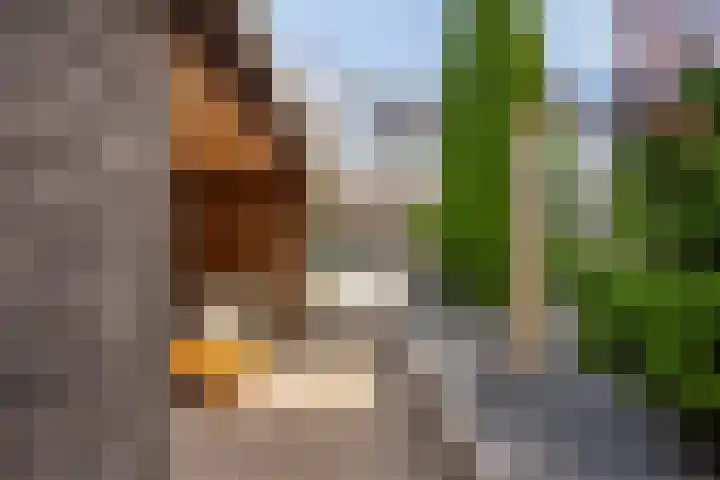 Jeroen Boschlaan 20 Lopik thumbnail 34