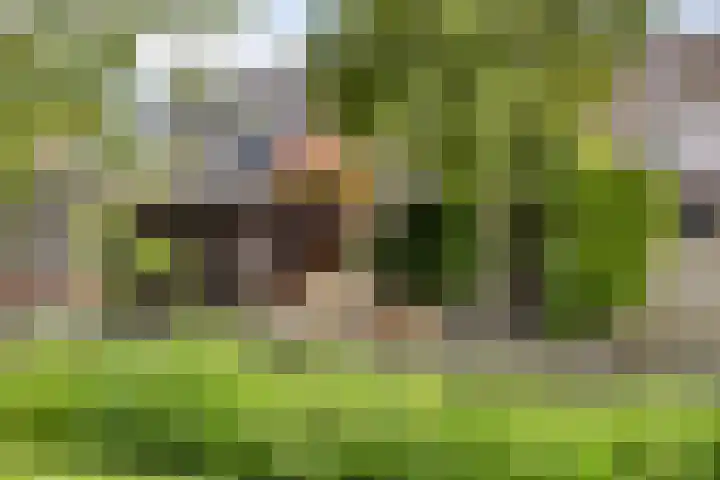 Jeroen Boschlaan 20 Lopik thumbnail 35