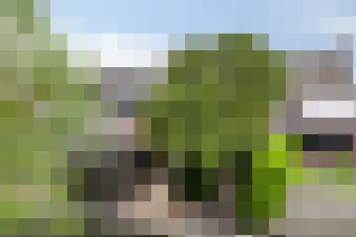 Jeroen Boschlaan 20 Lopik thumbnail 36