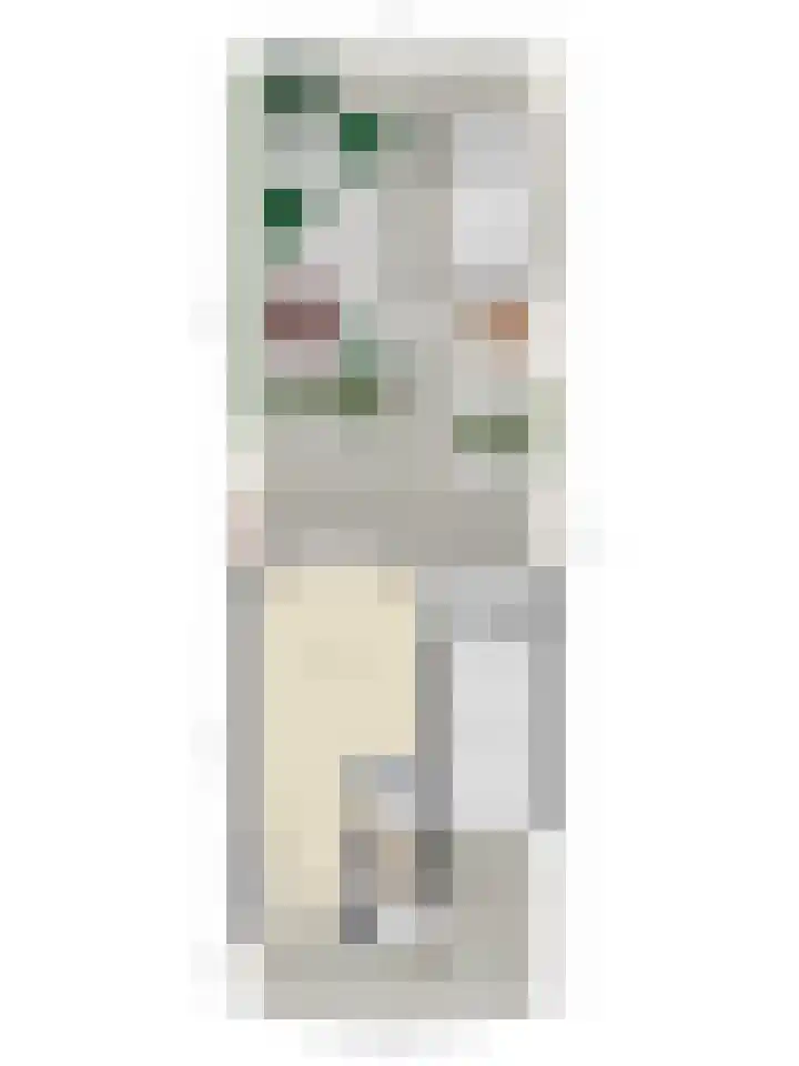Jeroen Boschlaan 20 Lopik thumbnail 40