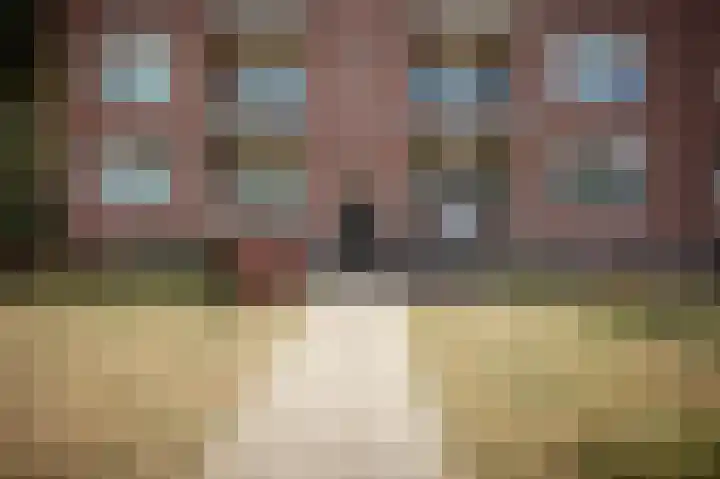 Jeroen Boschlaan 207 Eindhoven thumbnail 21