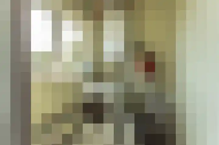 Jeroen Boschlaan 207 Eindhoven thumbnail 4
