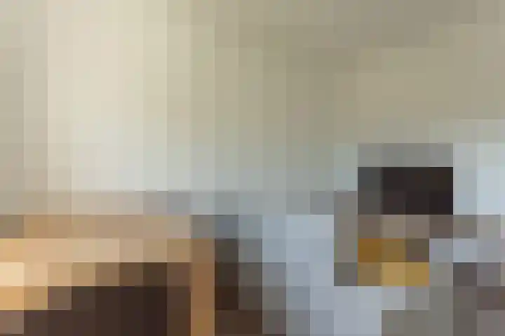 Jeroen Boschlaan 207 Eindhoven thumbnail 5