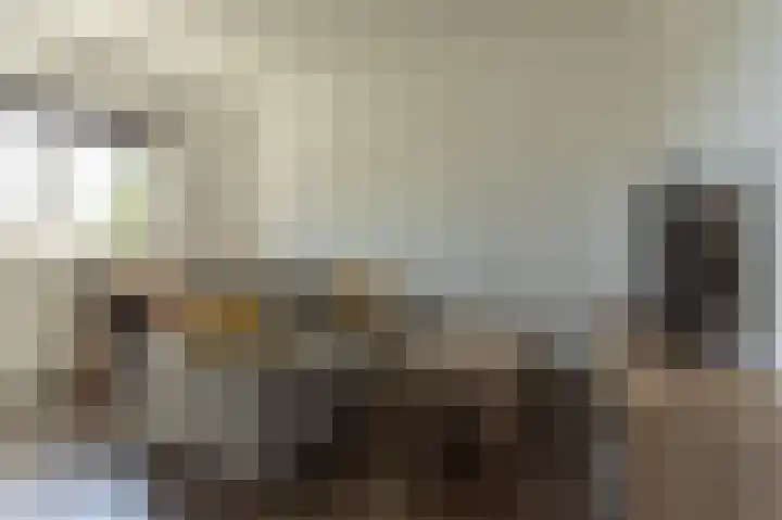 Jeroen Boschlaan 207 Eindhoven thumbnail 7