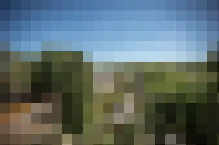 Jeroen Boschlaan 207 Eindhoven thumbnail 8