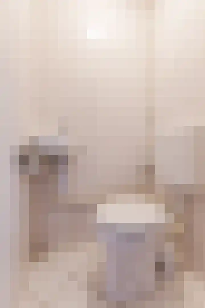 Jeroen Boschlaan 208 Eindhoven thumbnail 10