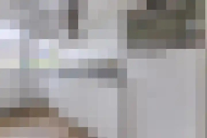 Jeroen Boschlaan 208 Eindhoven thumbnail 15