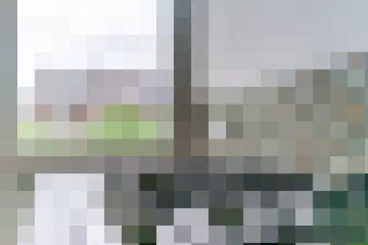Jeroen Boschlaan 208 Eindhoven thumbnail 18