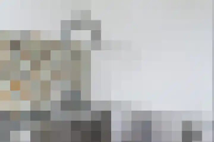 Jeroen Boschlaan 208 Eindhoven thumbnail 19