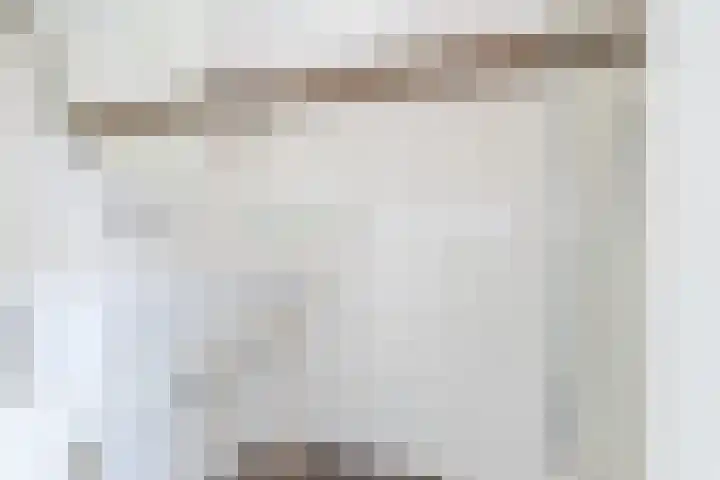 Jeroen Boschlaan 208 Eindhoven thumbnail 20