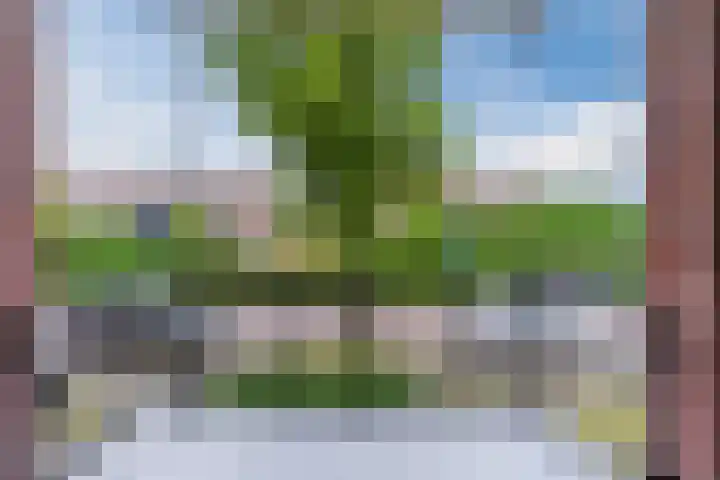 Jeroen Boschlaan 208 Eindhoven thumbnail 28