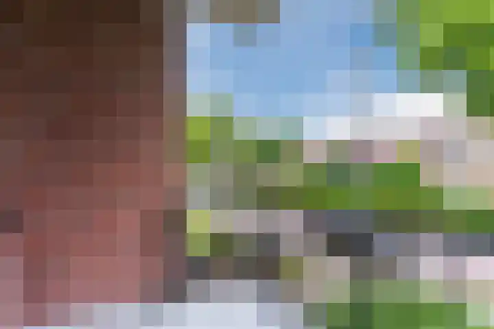 Jeroen Boschlaan 208 Eindhoven thumbnail 29