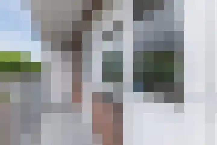 Jeroen Boschlaan 208 Eindhoven thumbnail 30