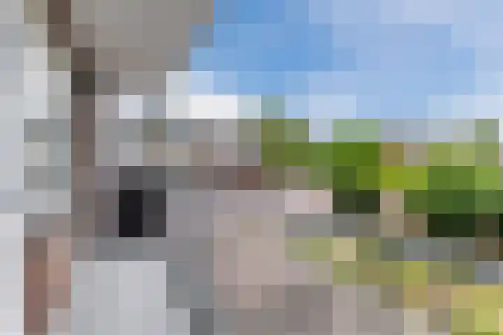 Jeroen Boschlaan 208 Eindhoven thumbnail 31