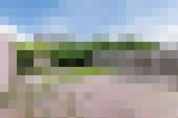 Jeroen Boschlaan 208 Eindhoven thumbnail 32