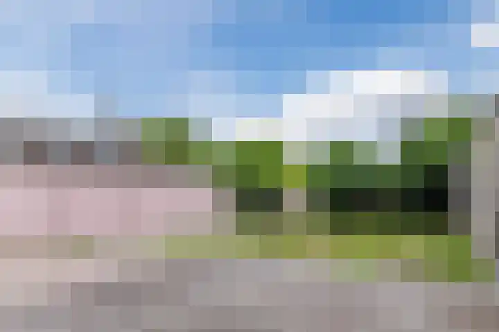 Jeroen Boschlaan 208 Eindhoven thumbnail 33