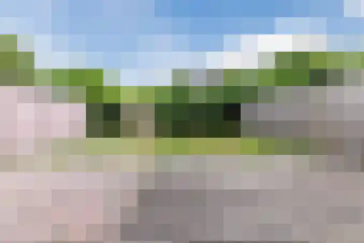 Jeroen Boschlaan 208 Eindhoven thumbnail 34