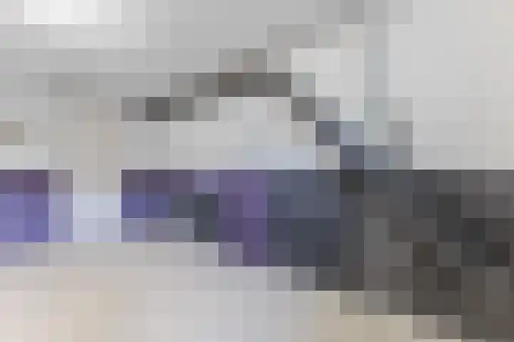 Jeroen Boschlaan 208 Eindhoven thumbnail 39