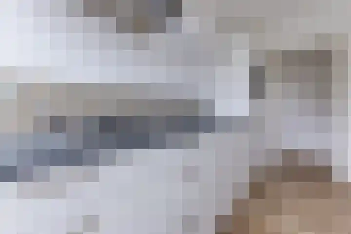 Jeroen Boschlaan 208 Eindhoven thumbnail 4
