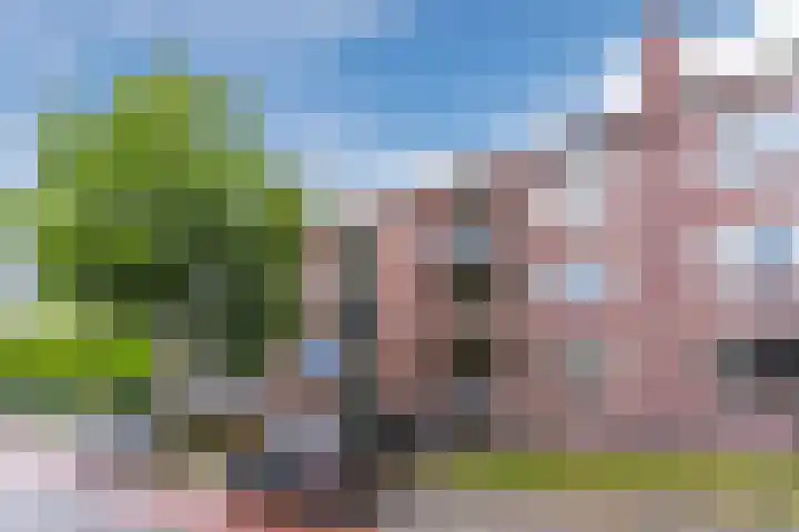 Jeroen Boschlaan 208 Eindhoven thumbnail 42