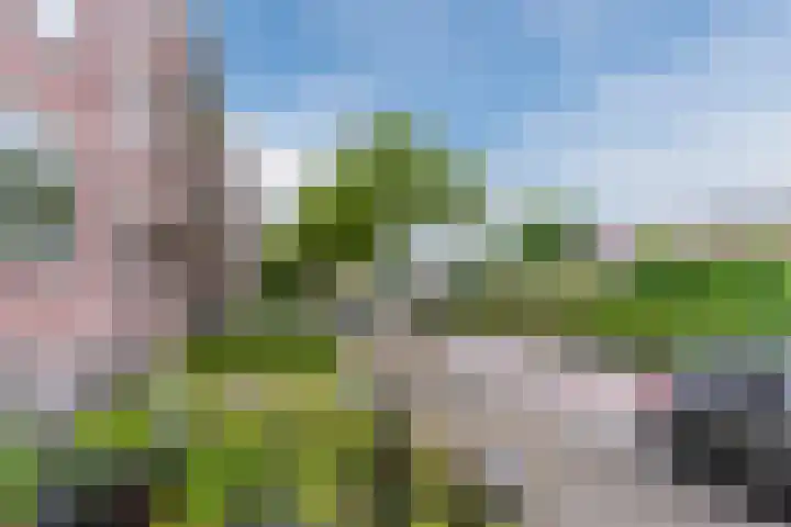 Jeroen Boschlaan 208 Eindhoven thumbnail 44