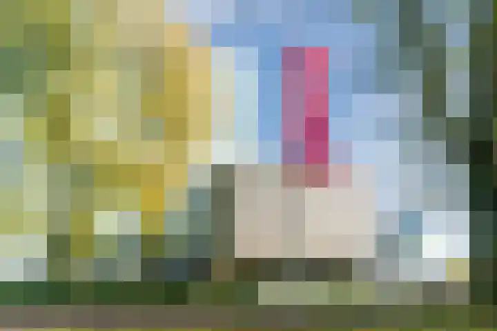 Jeroen Boschlaan 208 Eindhoven thumbnail 45