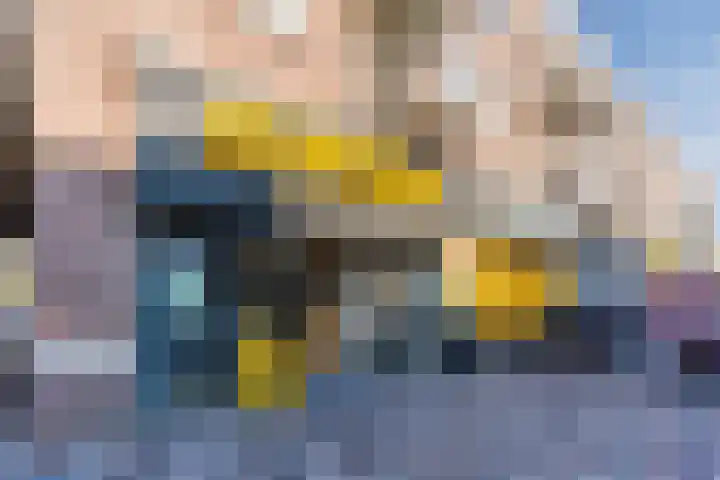 Jeroen Boschlaan 208 Eindhoven thumbnail 46