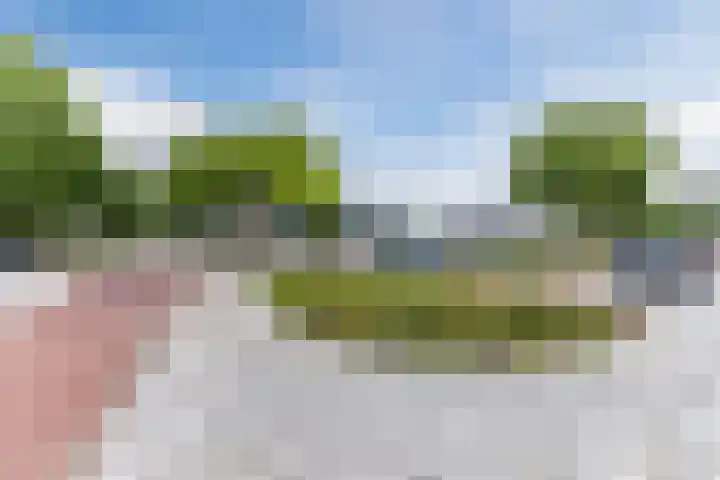 Jeroen Boschlaan 208 Eindhoven thumbnail 48