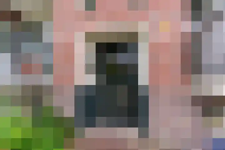 Jeroen Boschlaan 208 Eindhoven thumbnail 6