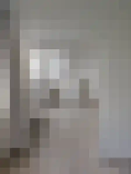Jeroen Boschlaan 237 Eindhoven thumbnail 4