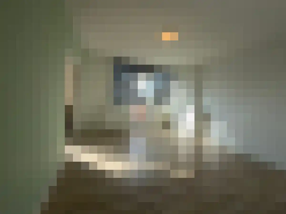 Jeroen Boschlaan 237 Eindhoven thumbnail 5