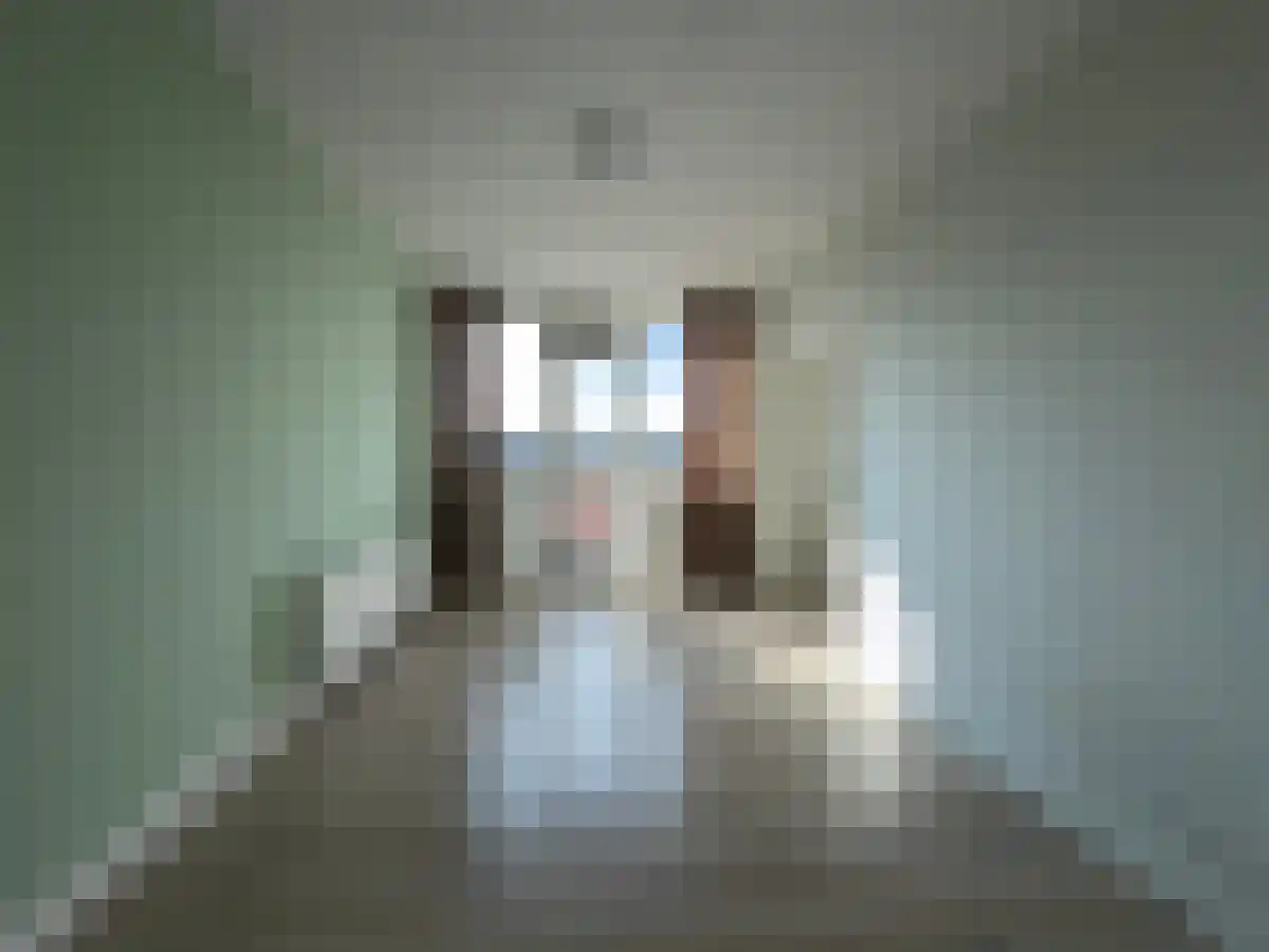 Jeroen Boschlaan 237 Eindhoven thumbnail 6