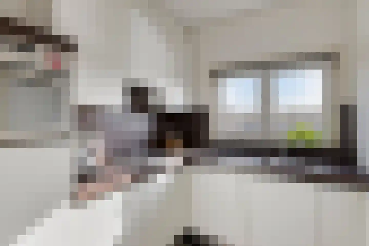 Jeroen Boschlaan 255 Eindhoven thumbnail 13
