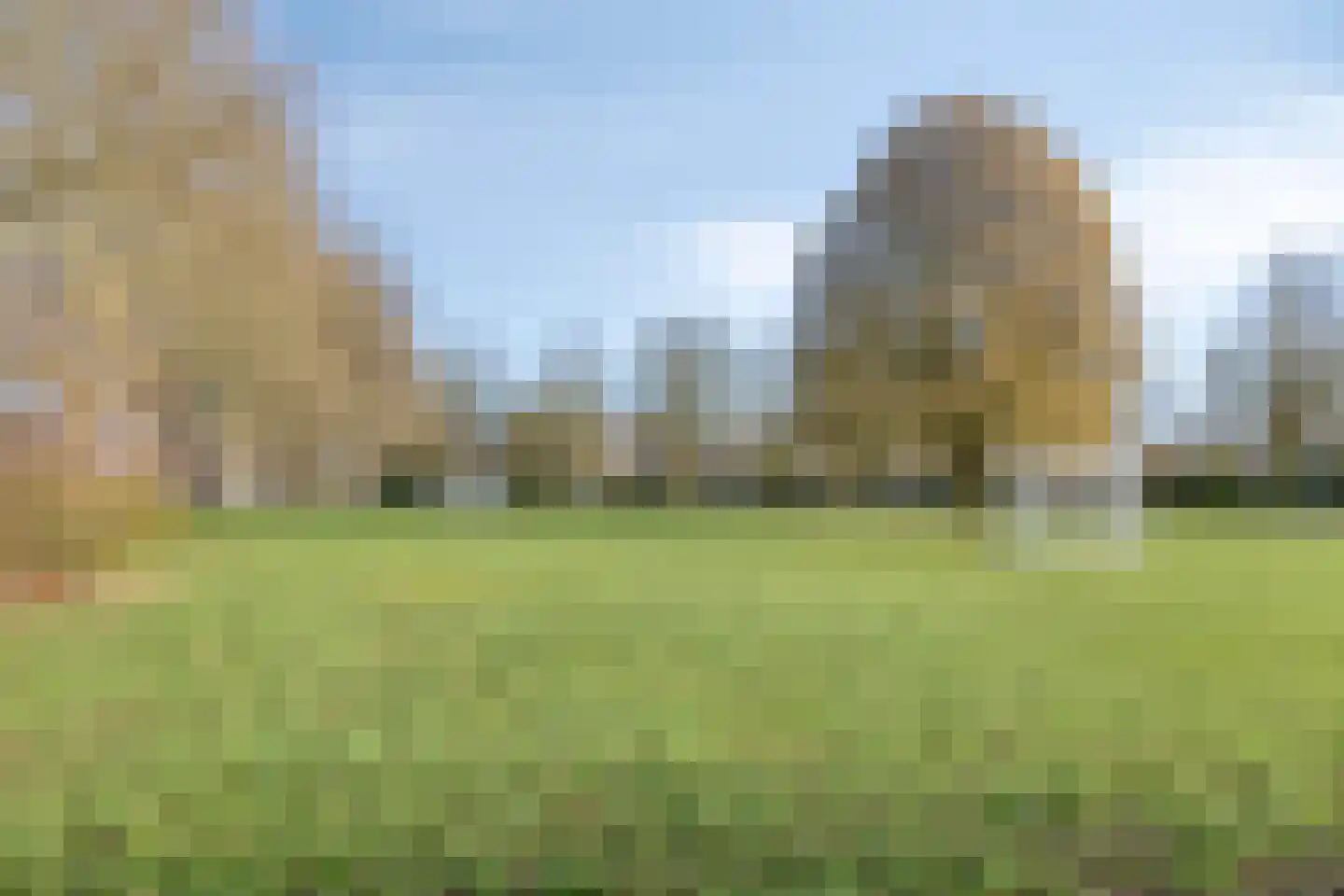 Jeroen Boschlaan 255 Eindhoven thumbnail 28
