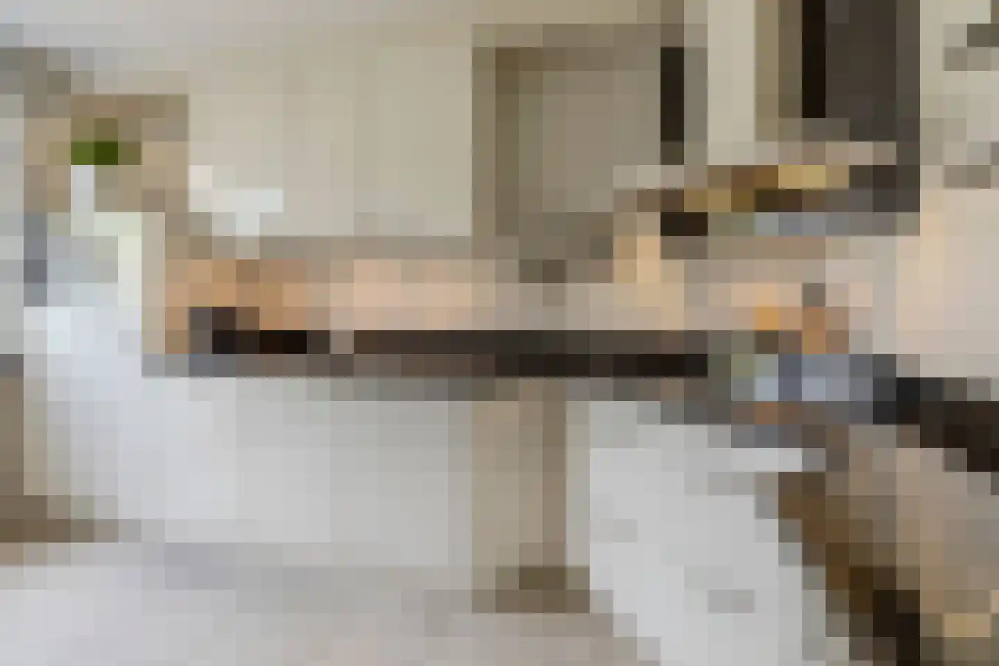 Jeroen Boschlaan 27 Berkel-Enschot thumbnail 13