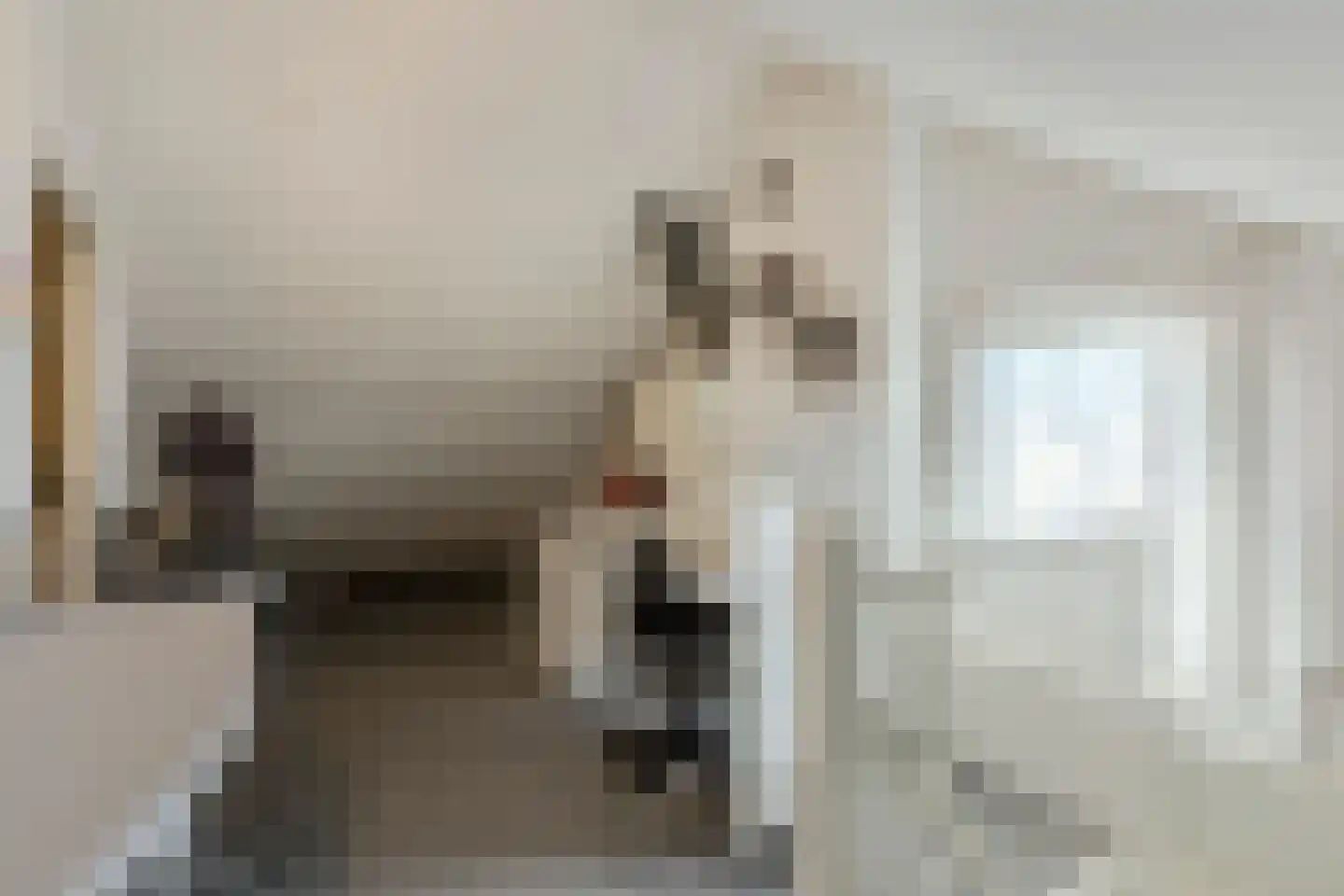 Jeroen Boschlaan 27 Berkel-Enschot thumbnail 32