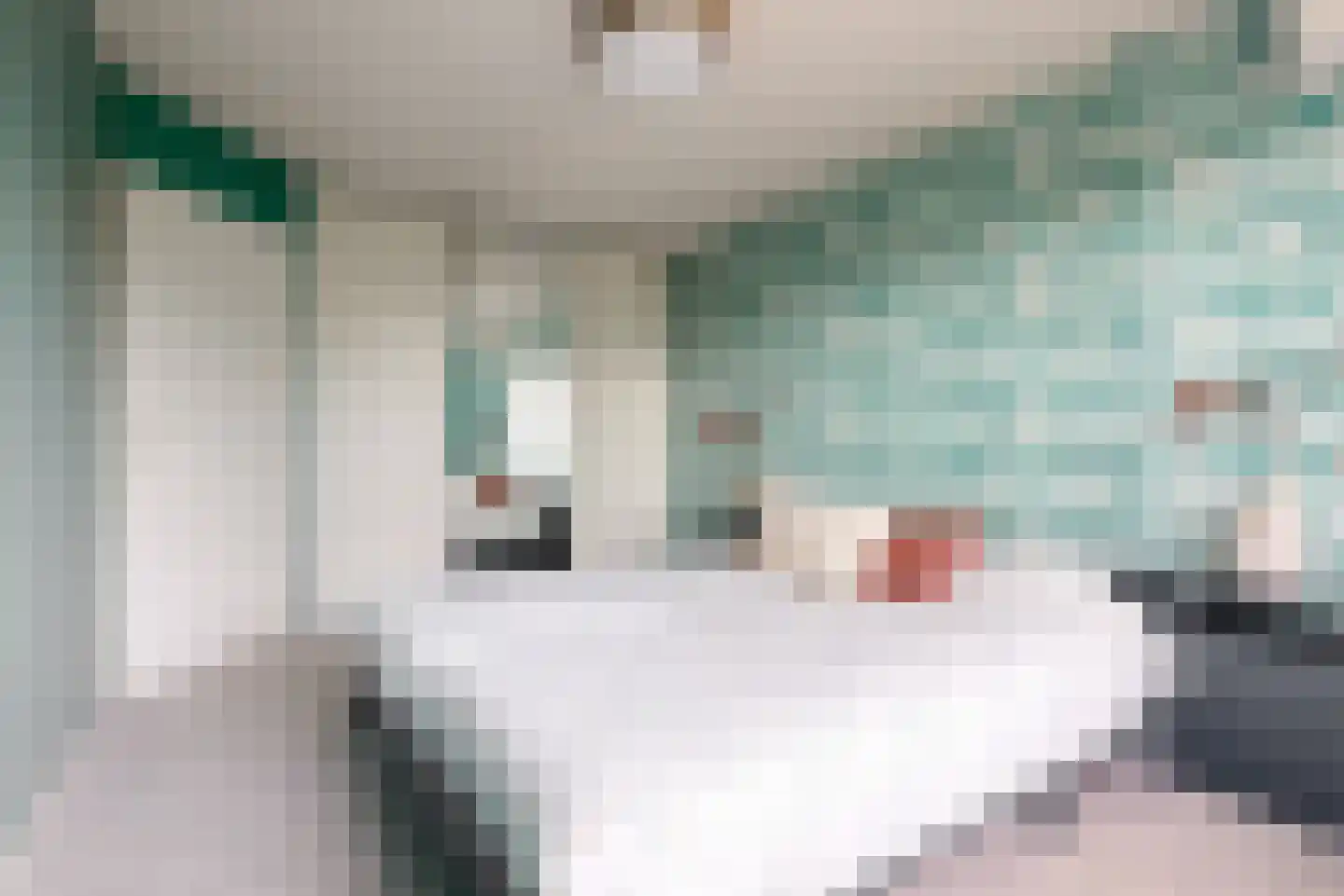 Jeroen Boschlaan 28 Lopik thumbnail 16