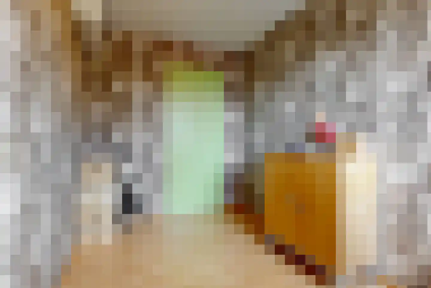 Jeroen Boschlaan 28 Lopik thumbnail 18