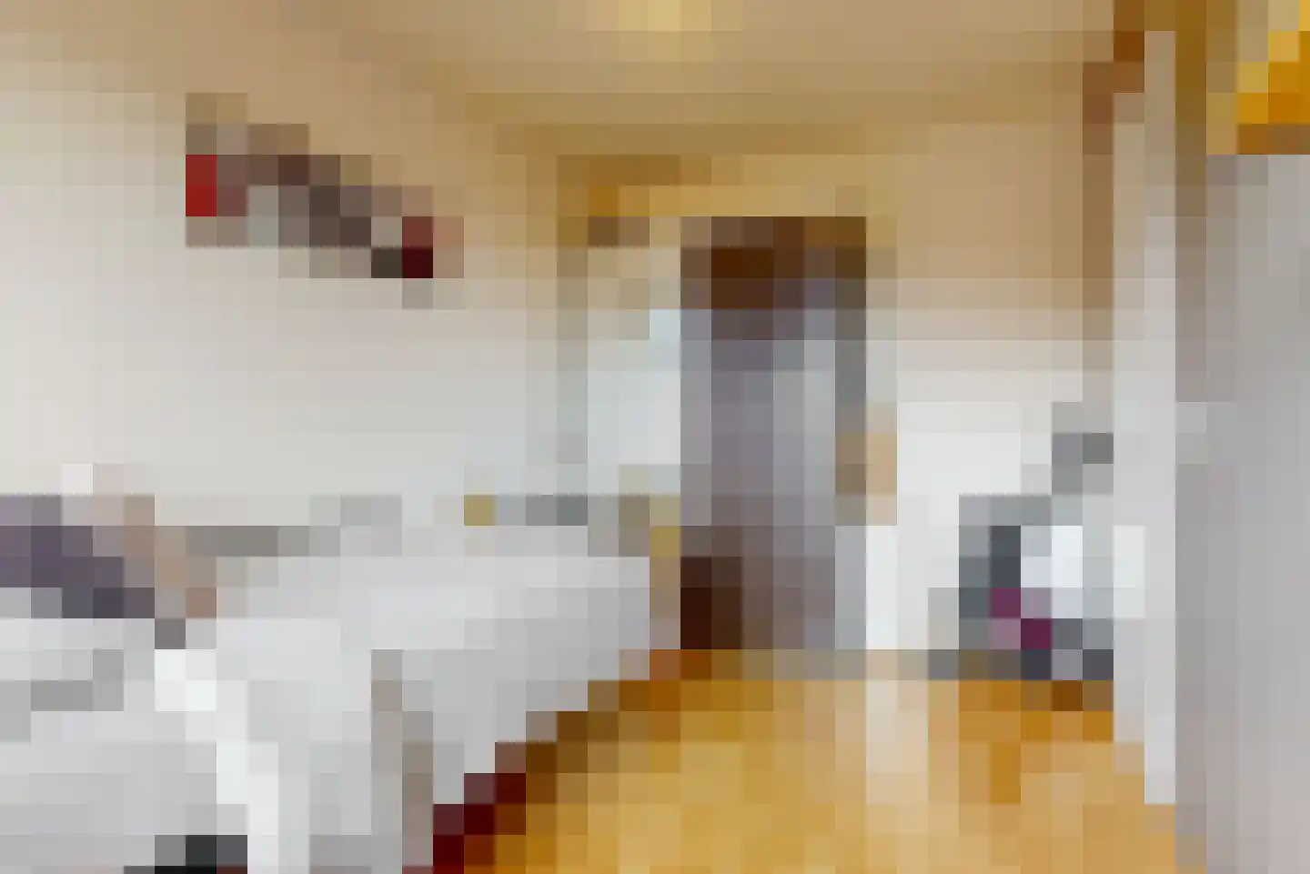Jeroen Boschlaan 28 Lopik thumbnail 20